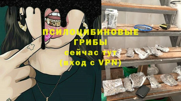 стафф Сатка