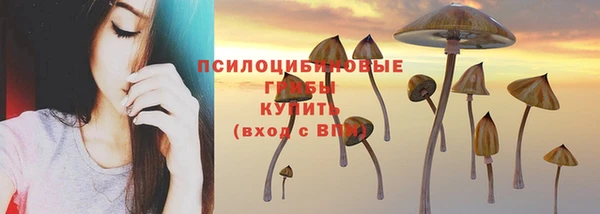 синтетический гашиш Саяногорск