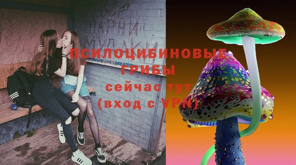 синтетический гашиш Саяногорск