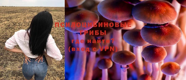 стафф Сатка