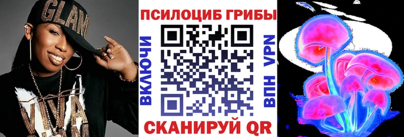 Купить  Сосновка  Псилоцибиновые грибы прущие грибы 